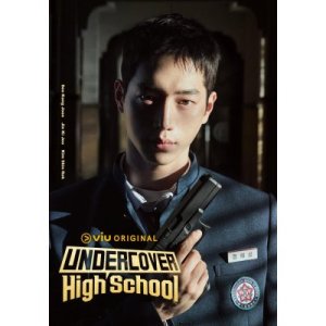 Undercover high school